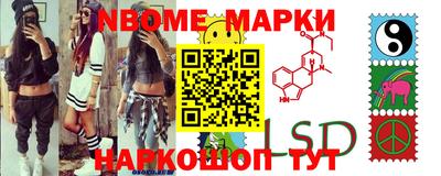 индика Сланцы
