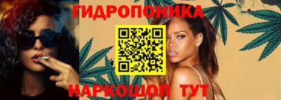 индика Сланцы