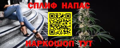 индика Сланцы
