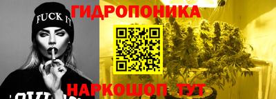 индика Сланцы