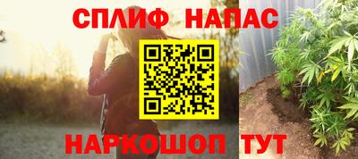 индика Сланцы