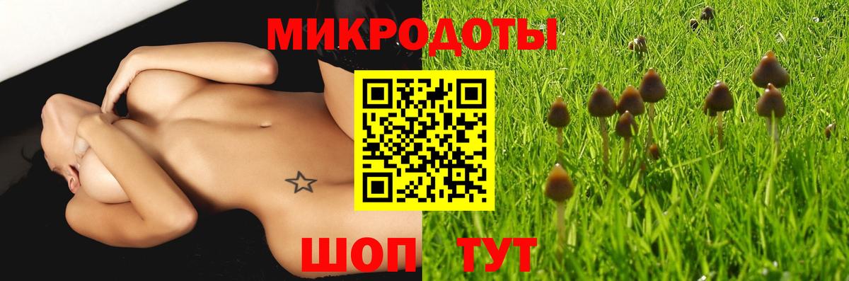 Галлюциногенные грибы Cubensis  где купить наркоту  Большой Камень  Вход с VPN 